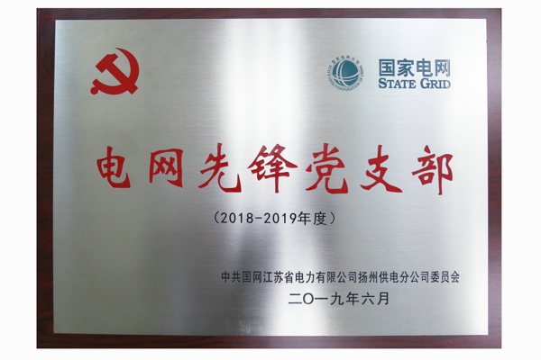 0628+堅持黨建引領 打造“北辰電網先鋒黨支部”.jpg